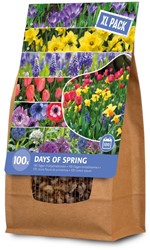 100 Days of Spring Bulb Collection XL Pack