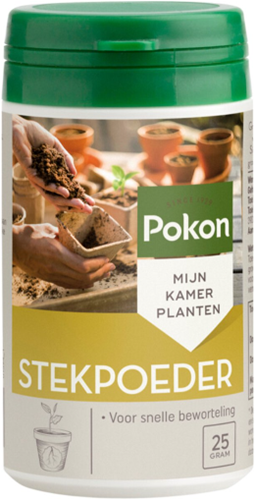 Rooting Powder - Pokon