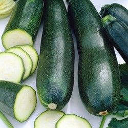 Marrow, Summer Squash Black Beauty EKO