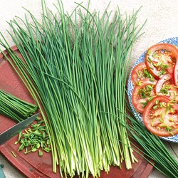 Chives