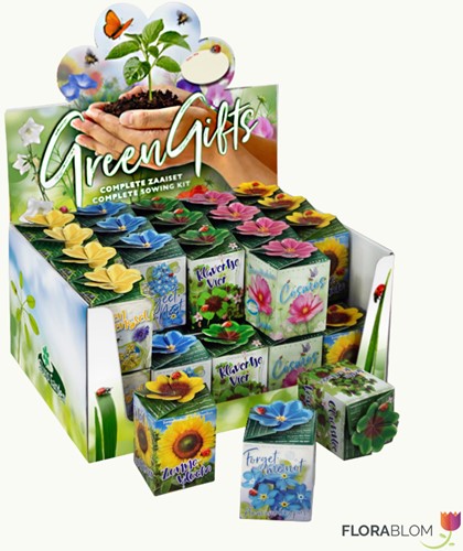 Greengift Mixed 40 pcs in Display Box