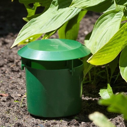 Slug Trap - Nature
