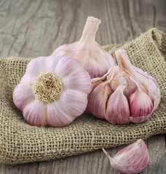 Garlic Pink