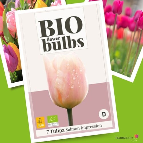 Tulip Salmon Impression - Organic bulbs