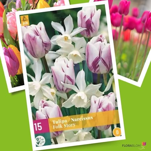 Tulips & Daffodils Mix Folk Story