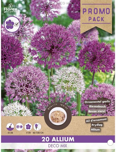 Allium Deco Mix - Ornamental garlic-2