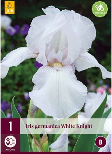 Iris Germanica White Knight - Bearded Iris
