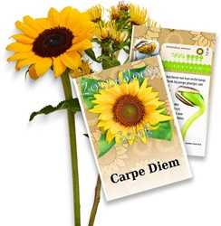 Sunflower Personalized Printed Seed Packets - 20 pieces