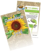 Giant Sunflower Organic - Helianthus-2