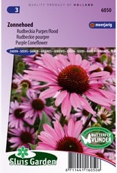 Cone flower purper - Echinacea purpurea